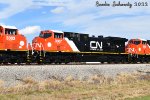 CN 3307